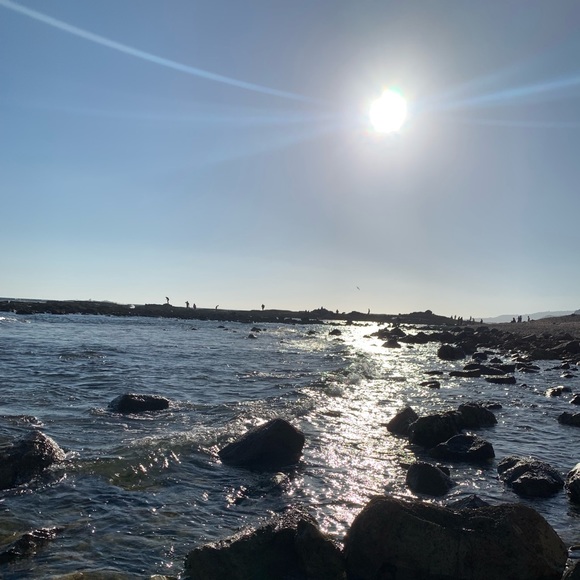 Meet your Posher, Mimis - Picture 1 of 1